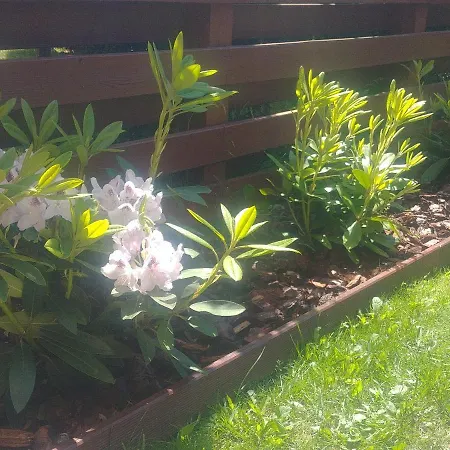 Apartmán Jantar Z Ogrodem Kolobřeh